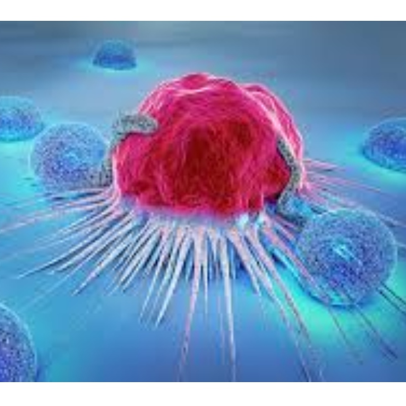 Japan: NMN widersteht der Seneszenz der Immunzellen und hemmt 71,4% Tumorwachstum